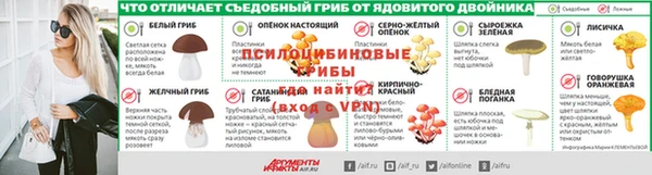 соль ск Богородск