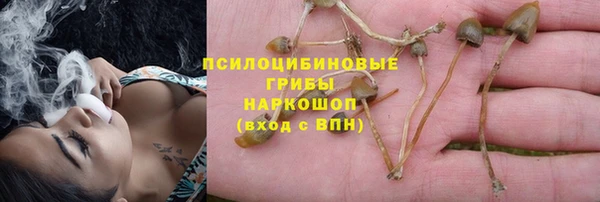 соль ск Богородск
