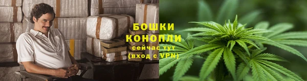 соль ск Богородск