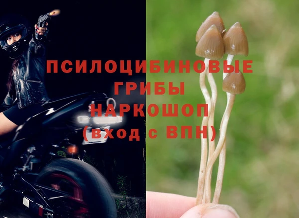 бутират Надым