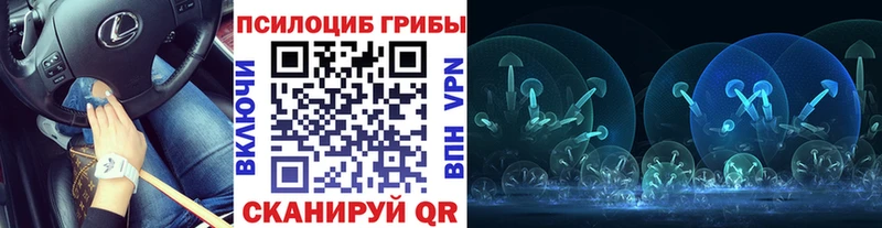блэк спрут вход  Кореновск  Псилоцибиновые грибы Cubensis 